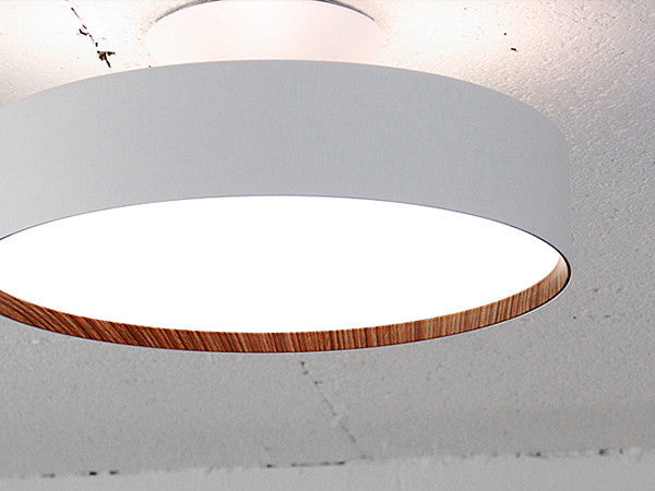 LED Ceiling Lamp