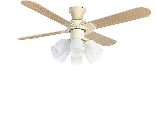 Ceiling Fan