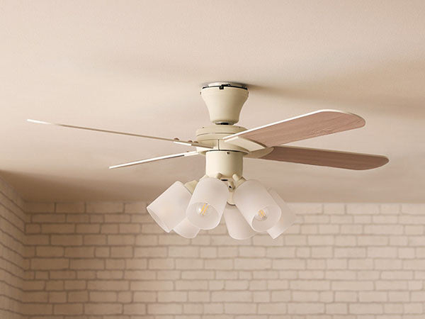 Ceiling Fan