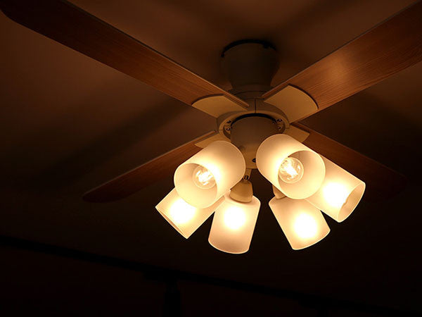 Ceiling Fan