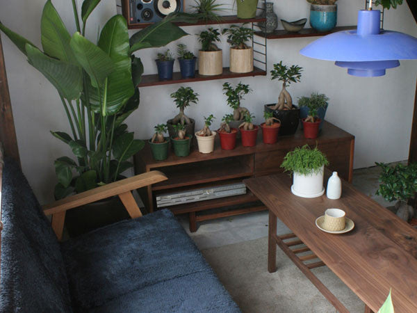 Living Table 1200