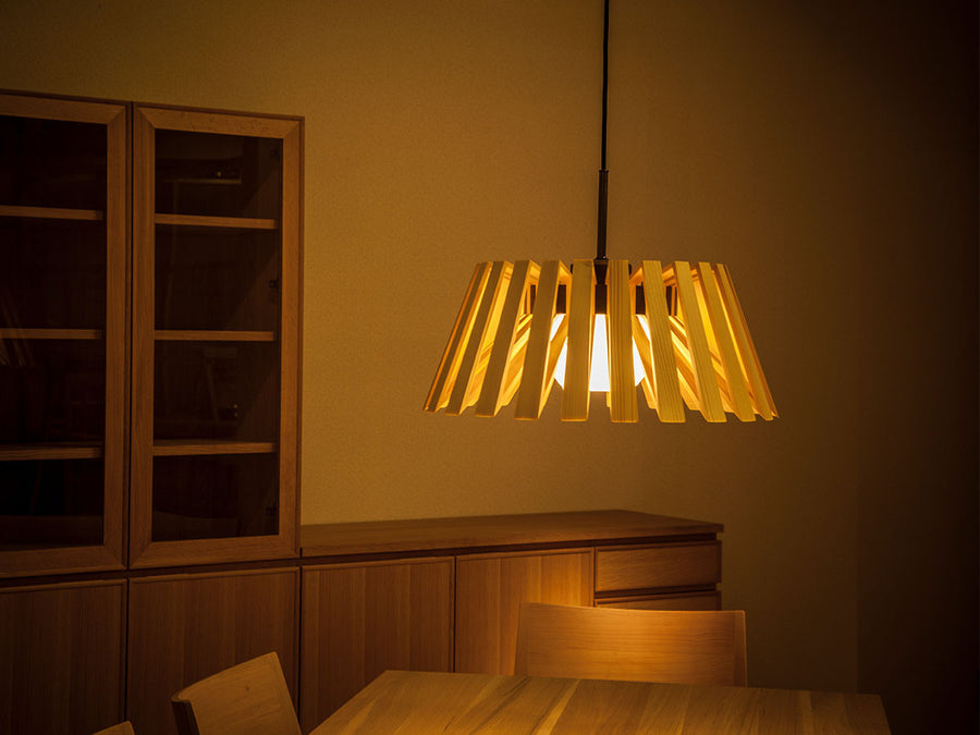 Pendant Light