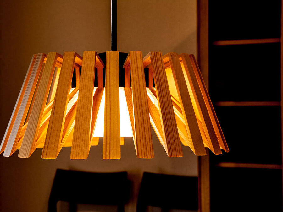 Pendant Light