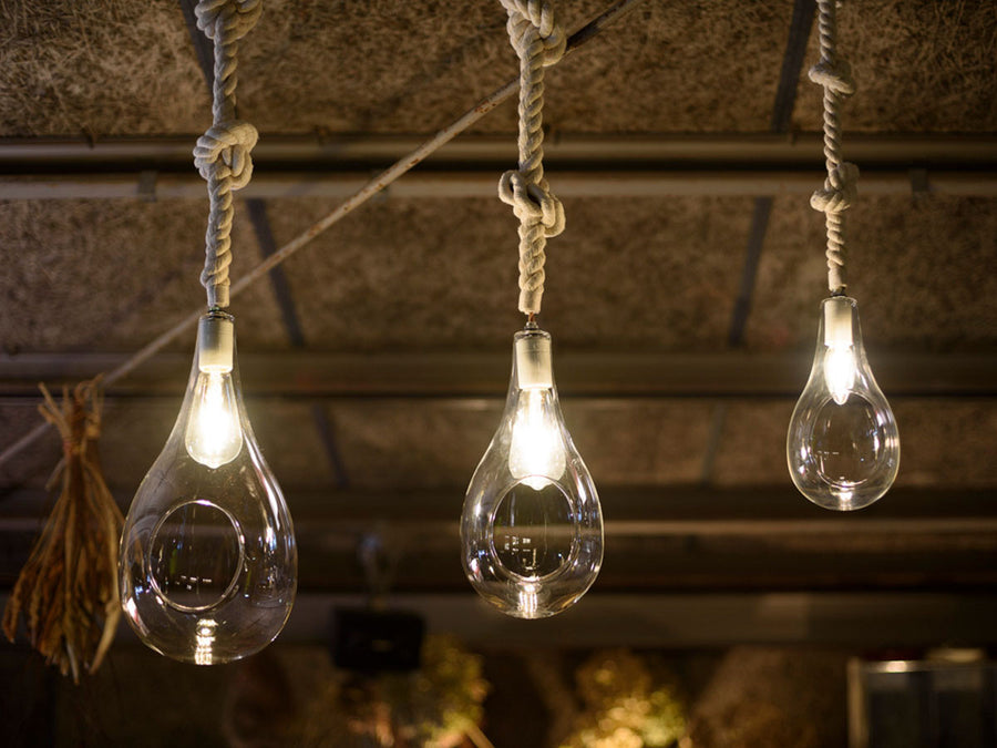 BOTANIC Hanging light