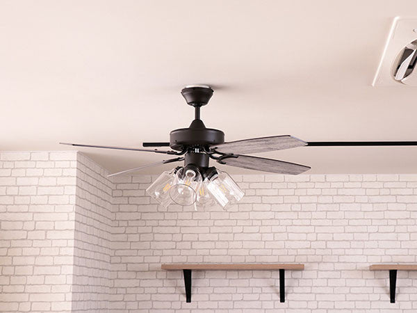 Ceiling Fan