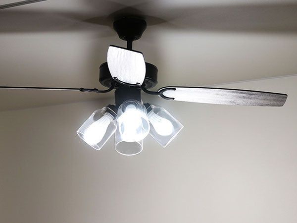 Ceiling Fan