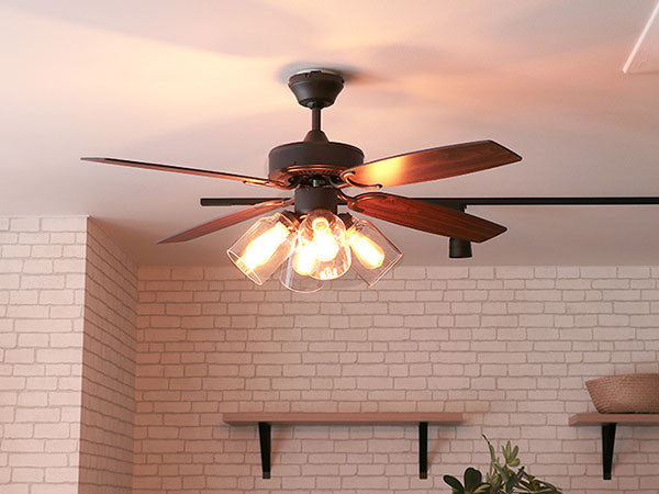 Ceiling Fan