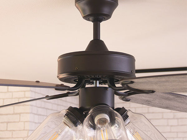 Ceiling Fan