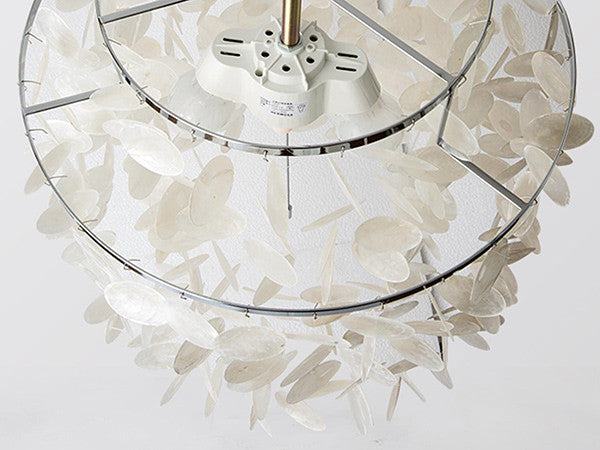 SHELL LAMP