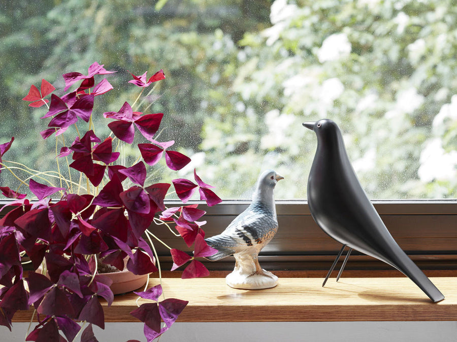 Eames House Bird