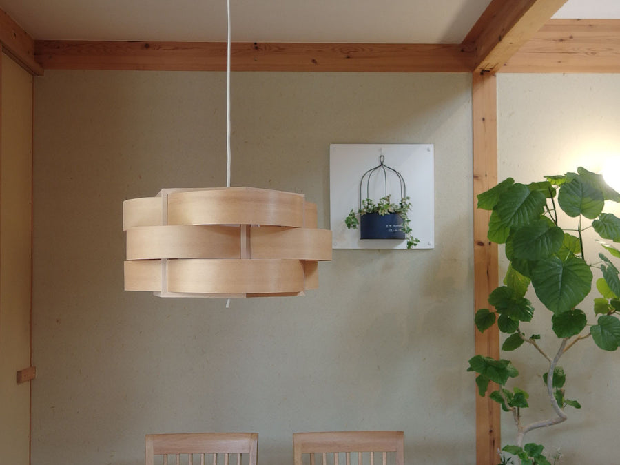 Pendant Light