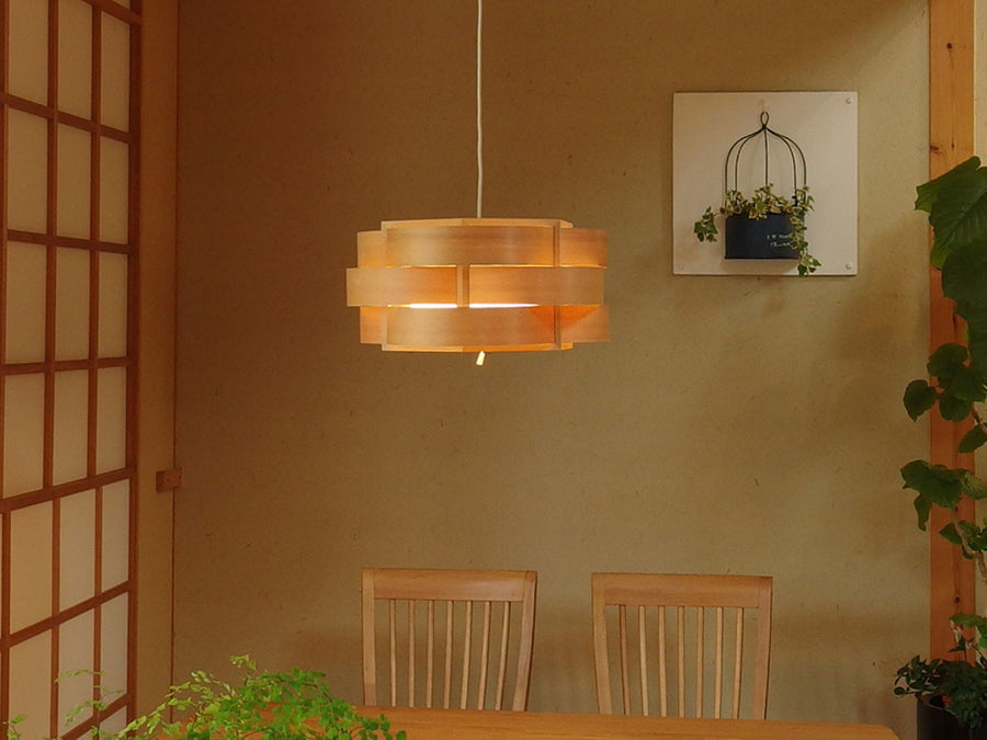 Pendant Light