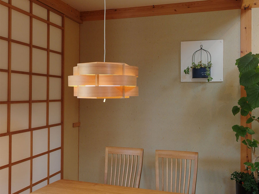 Pendant Light