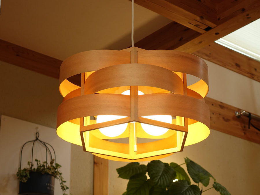 Pendant Light