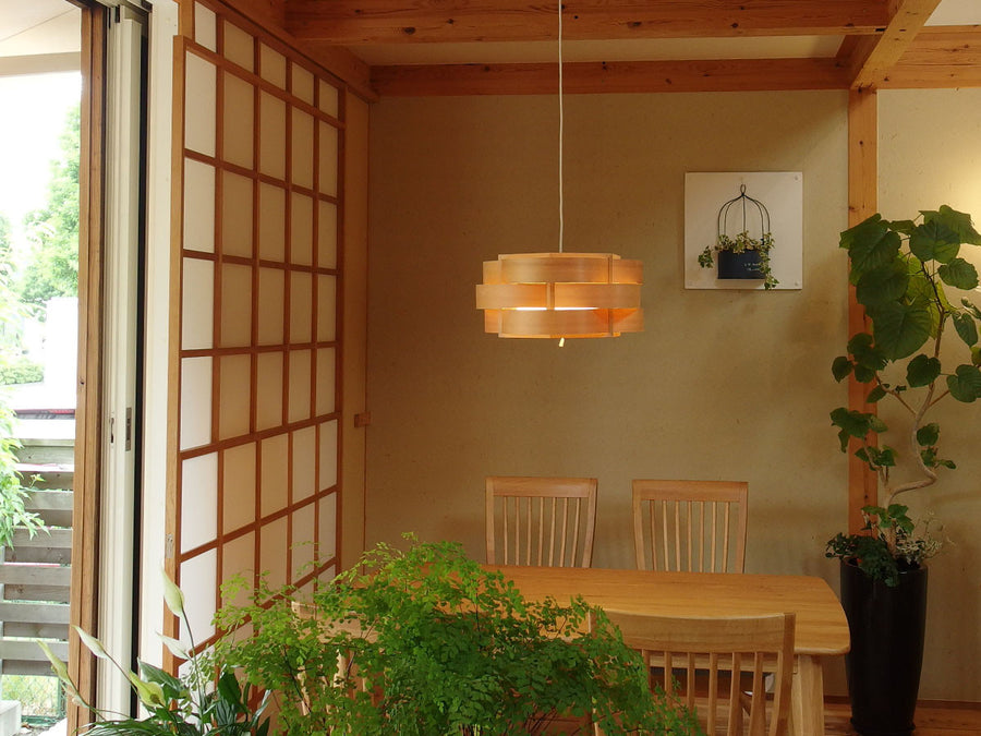 Pendant Light