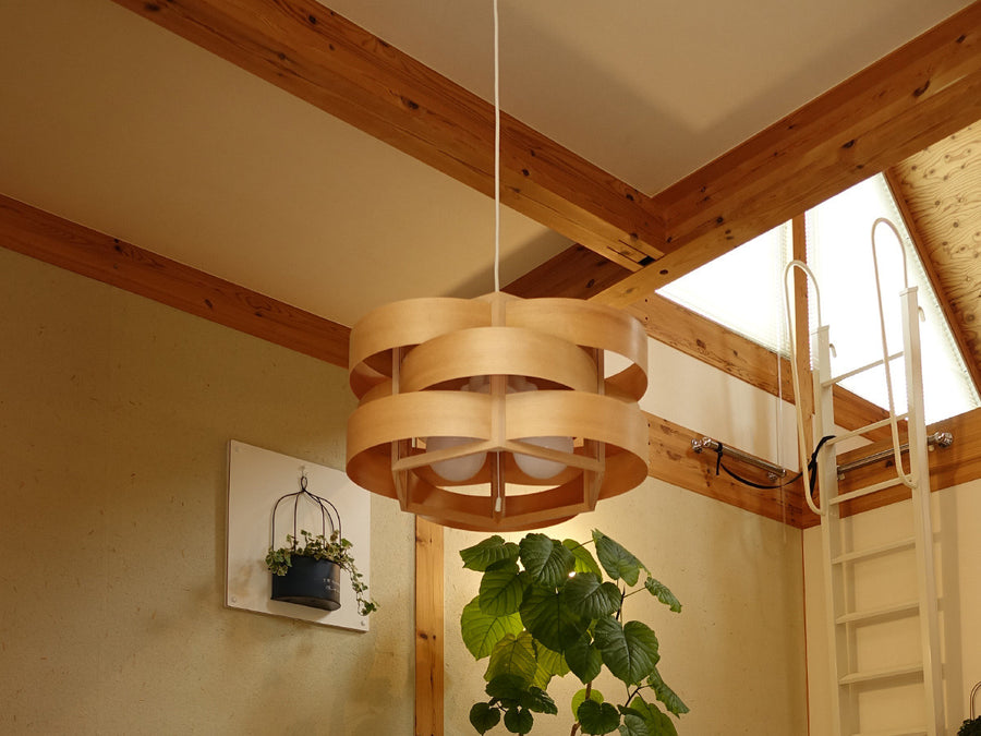 Pendant Light