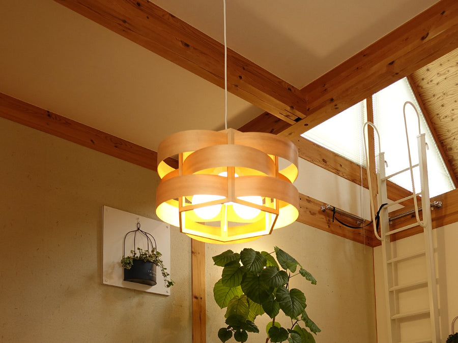 Pendant Light