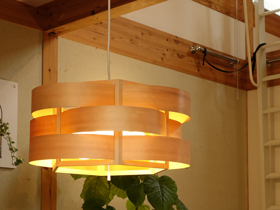 Pendant Light