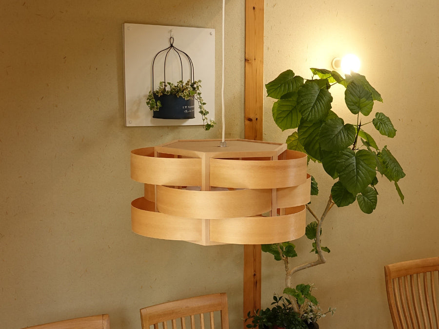 Pendant Light