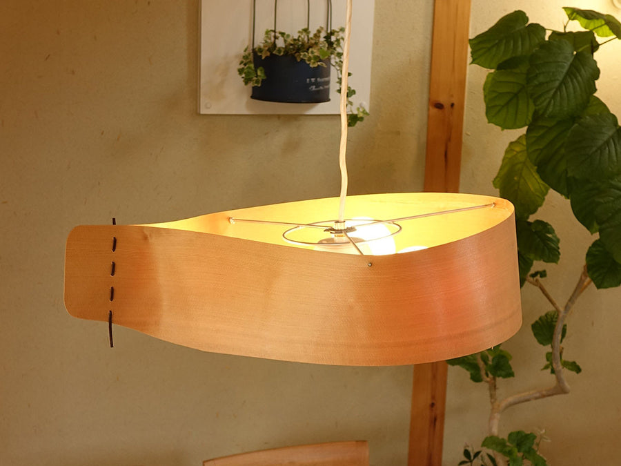 Pendant Light