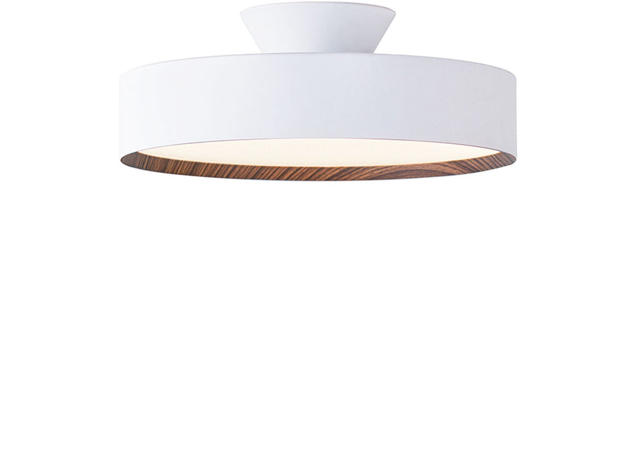 LED Ceiling Lamp