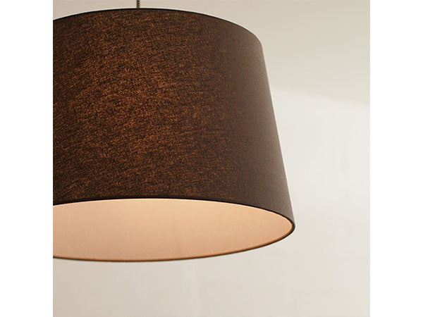 Pendant Light