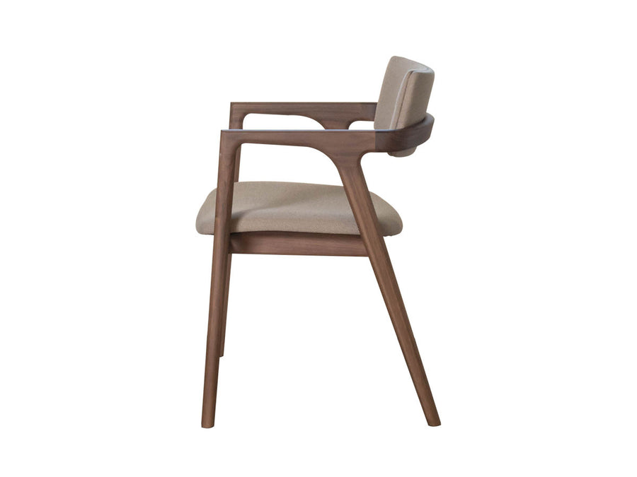 CAPRA Arm Chair