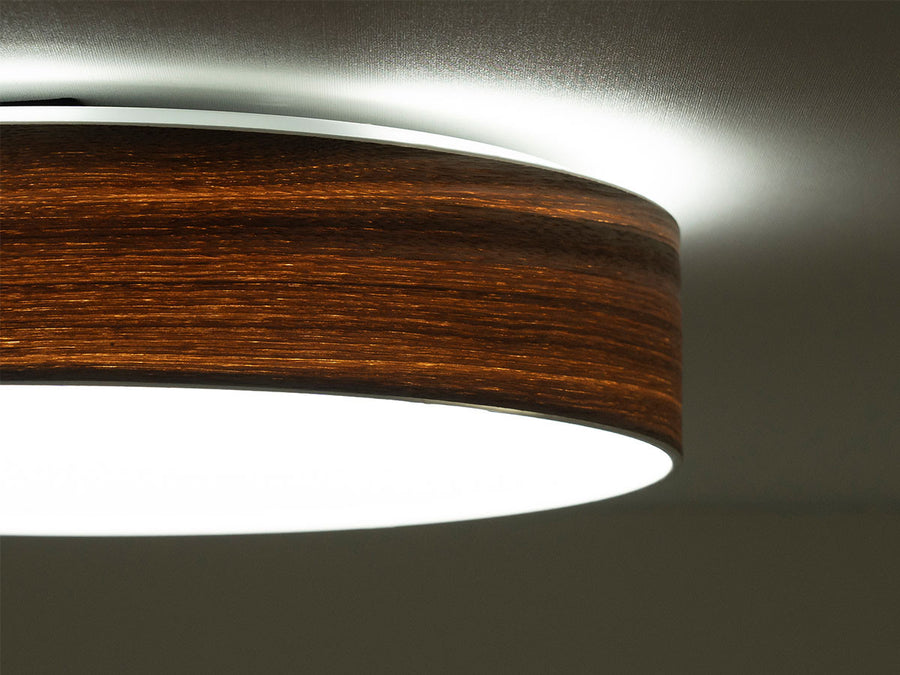 CEILING LIGHT