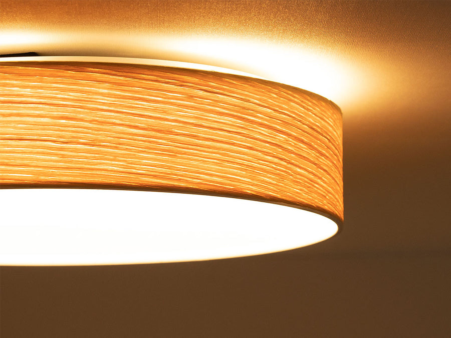 CEILING LIGHT