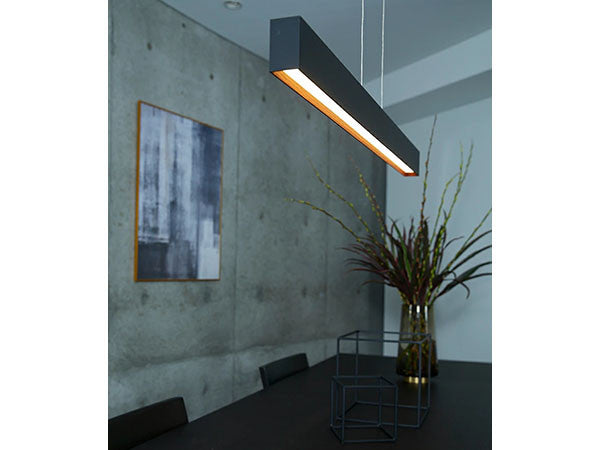 LED Pendant Light