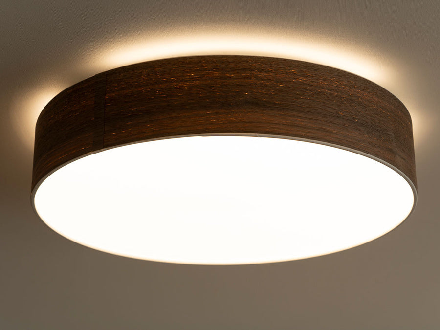 CEILING LIGHT