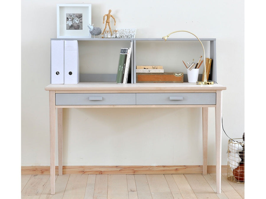 Desk Shelf