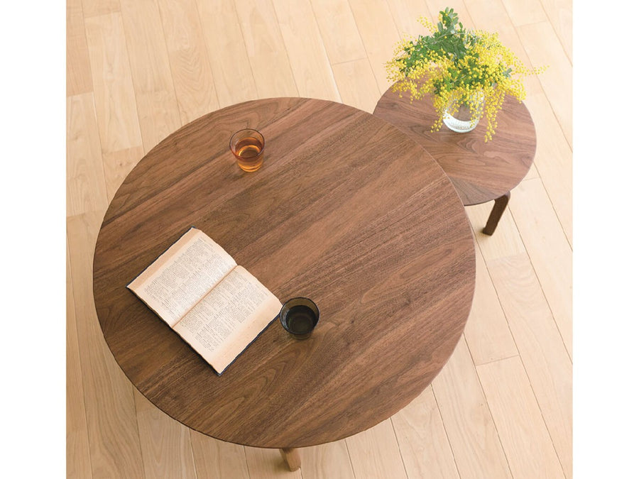 LISCIO CIRCLE LOW TABLE