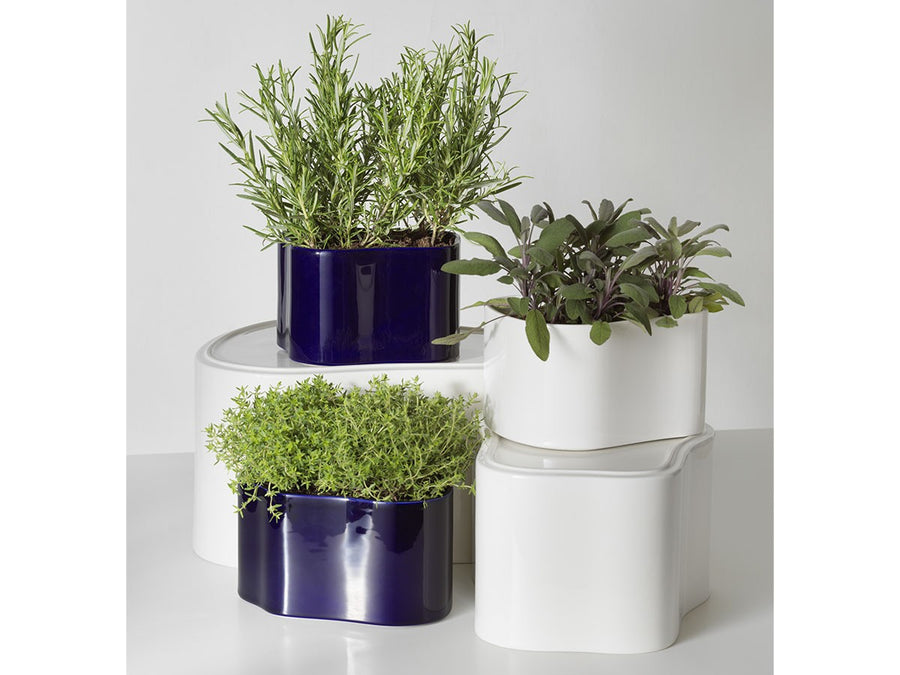 Riihitie Plant Pot A