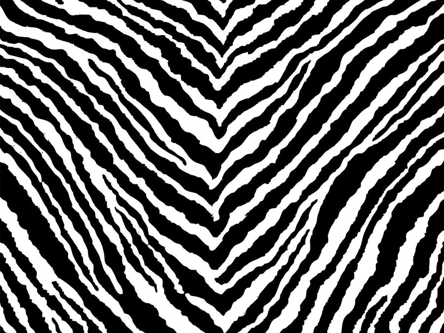 Zebra Cushion Cover