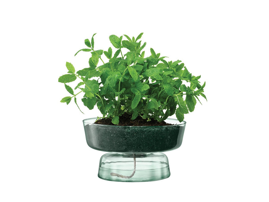 CANOPY SELF WATERING PLANTER