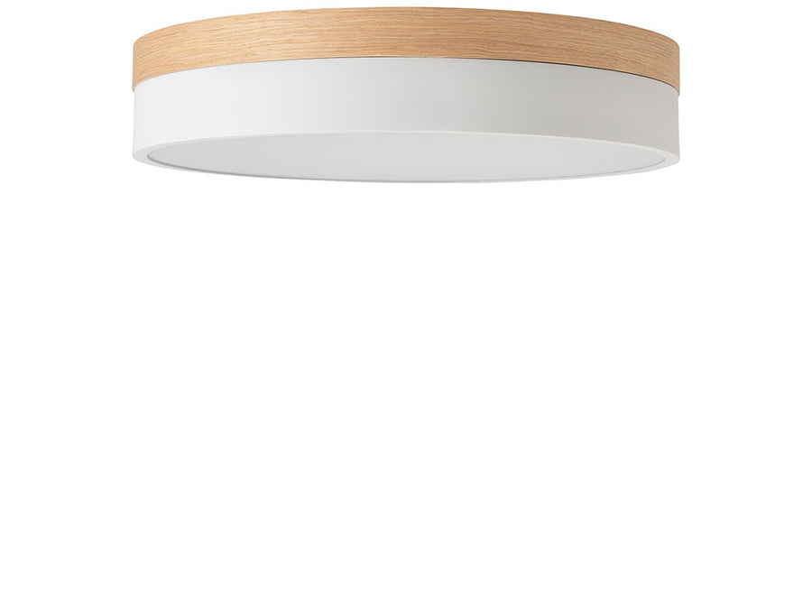 CEILING LIGHT