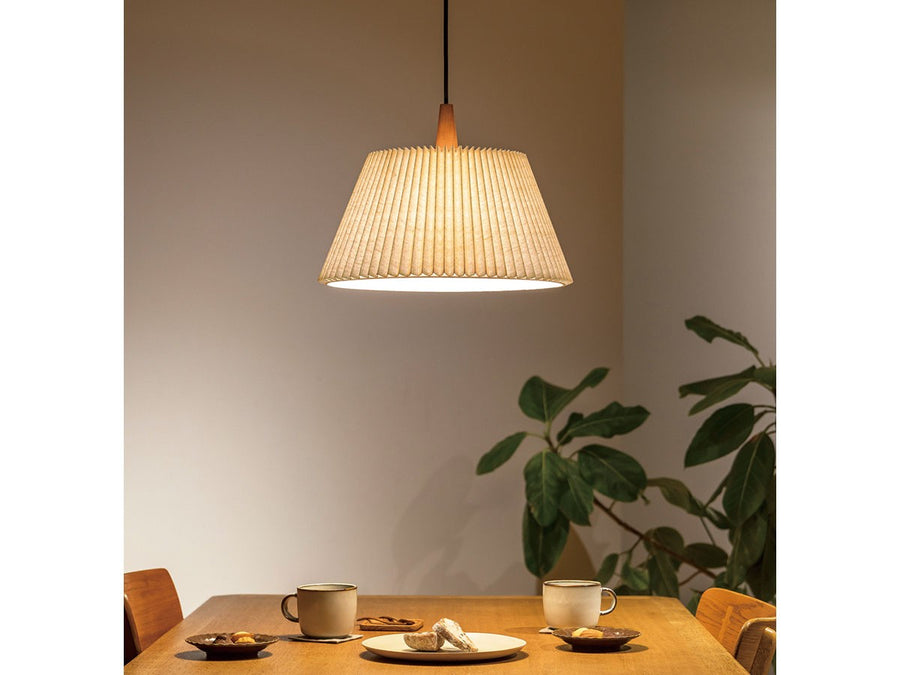 Pendant Light