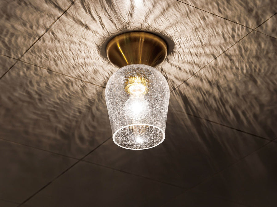 Ceiling Light