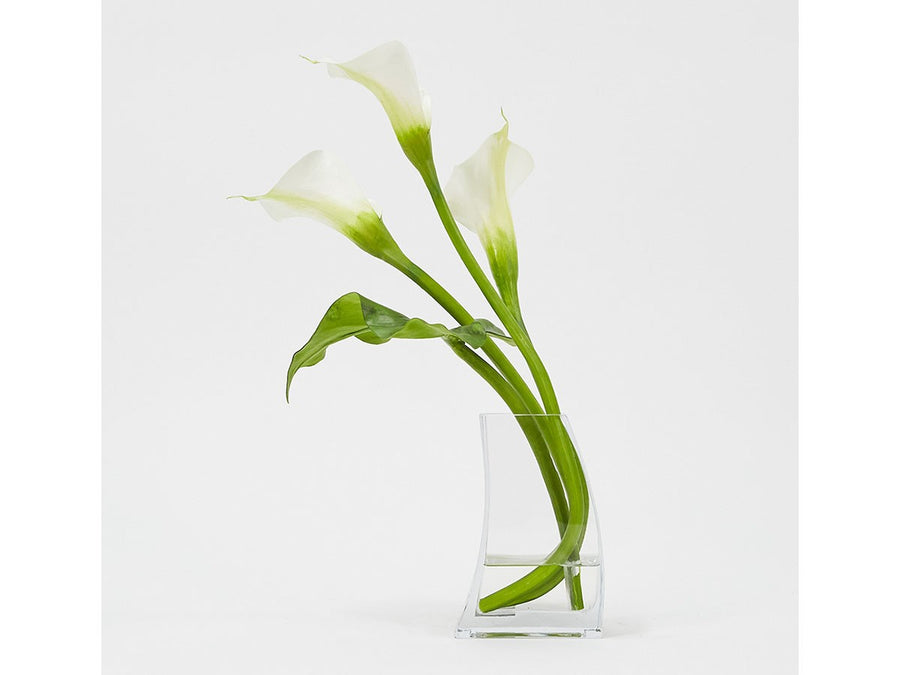 CALLA