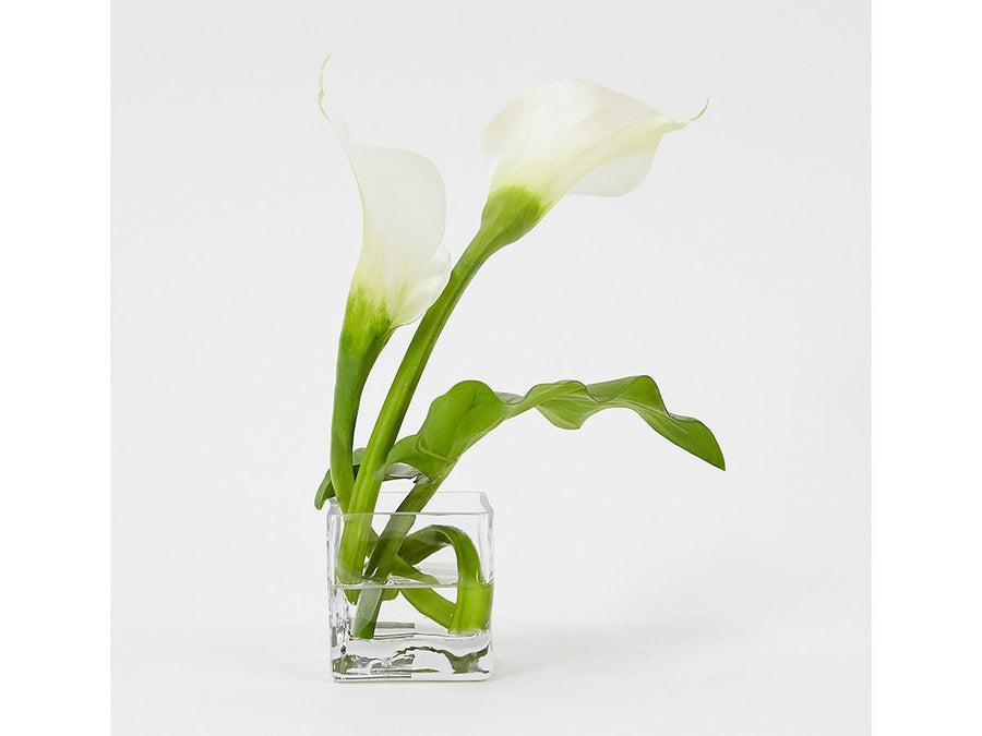 CALLA