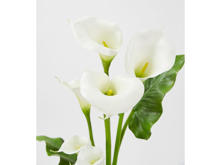 CALLA BOUQUET