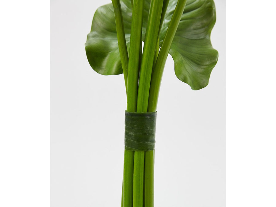 CALLA BOUQUET