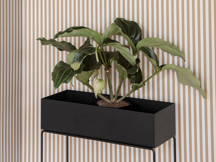 Plant Box