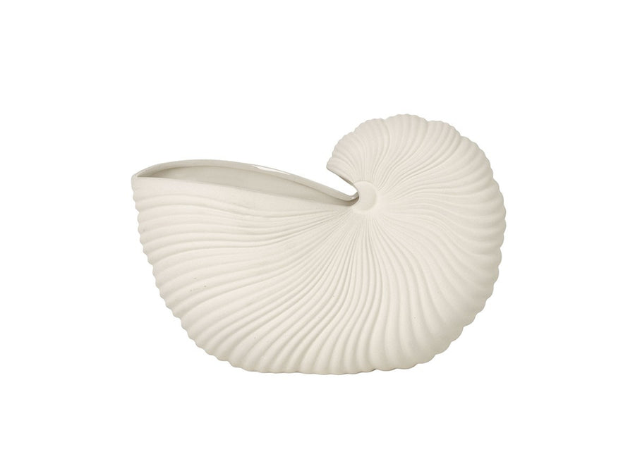 Shell Pot