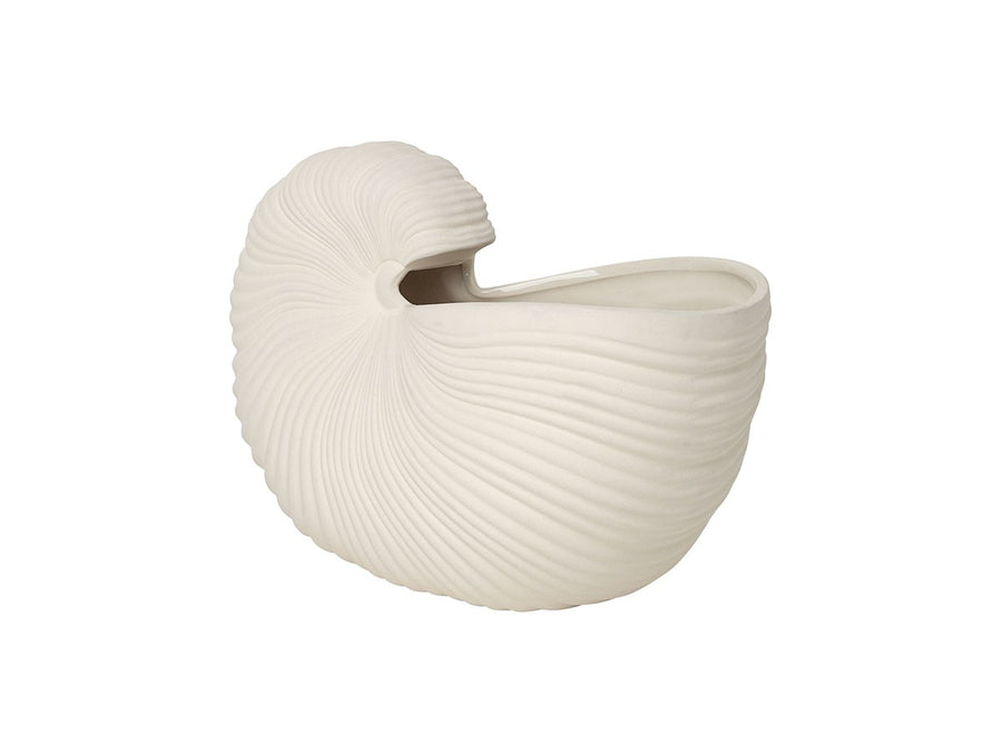 Shell Pot