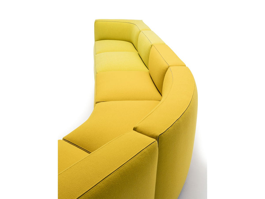 Dado Curved Modular Sofa