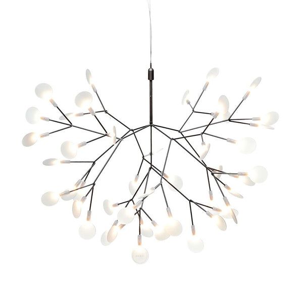 Heracleum III Small