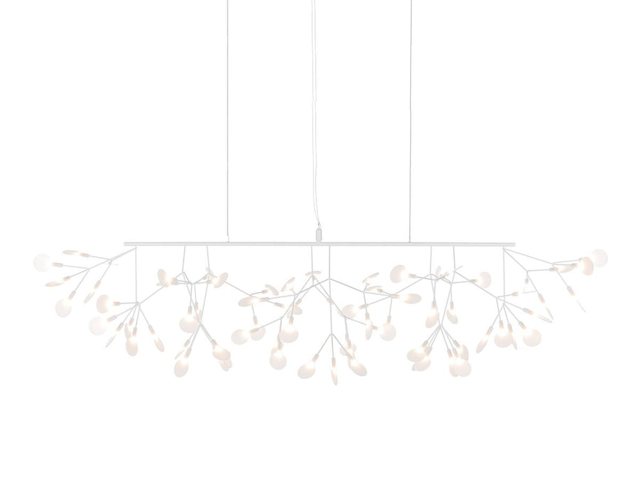 Heracleum III Linear