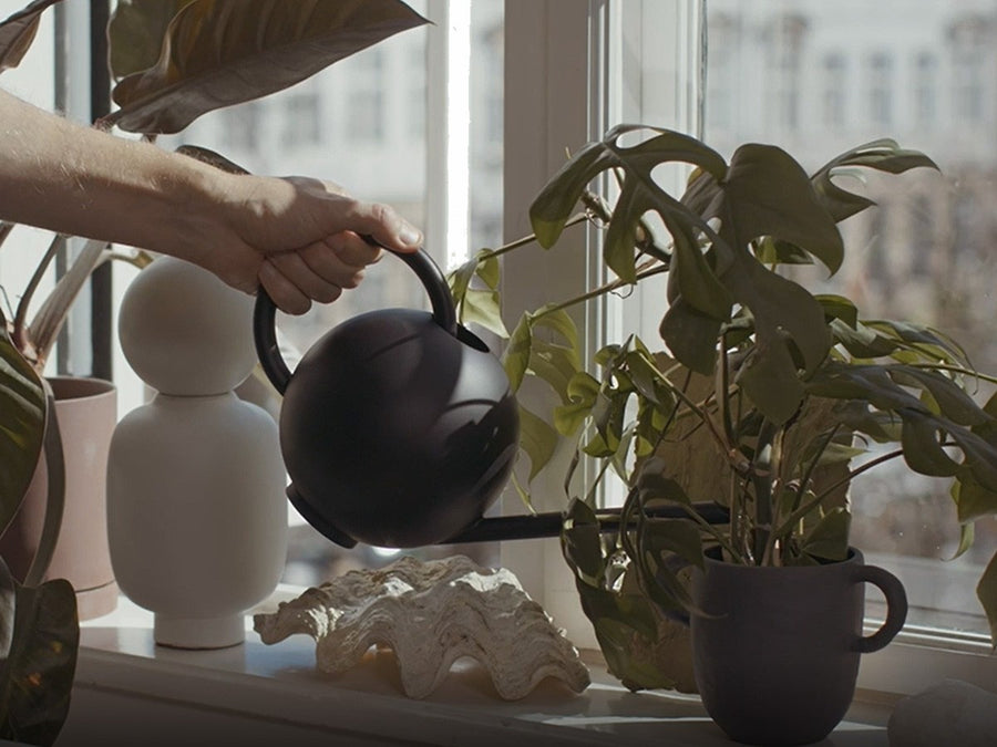 Orb Watering Can